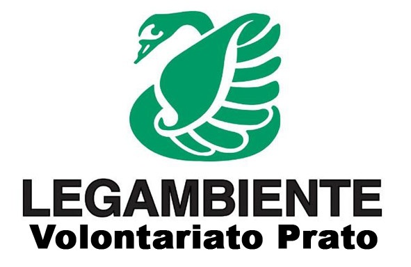 logo legambiente volontariato